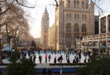 Emotional Intelligence Development: Social Navigation at Ice Rinks