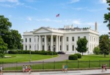 Tech-Driven Banner at World Cup Sparks White House Defense for Argentina