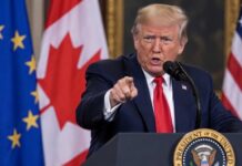 Trump Dismisses EU-Canada Tech Partnership, Warns of Potential Tariffs